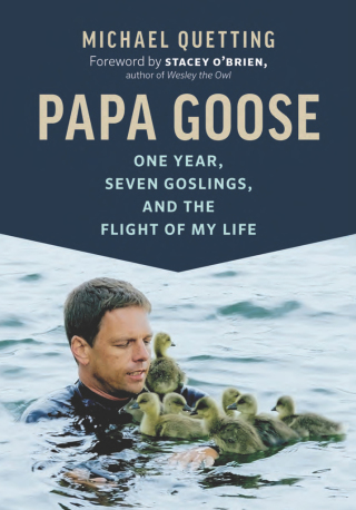 Omslagafbeelding: Papa Goose 9781771643610