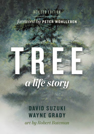 Cover image: Tree 9781771644198