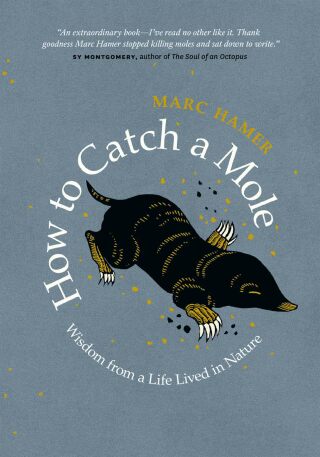 صورة الغلاف: How to Catch a Mole 9781771644808