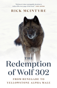 Imagen de portada: The Redemption of Wolf 302 9781771645270