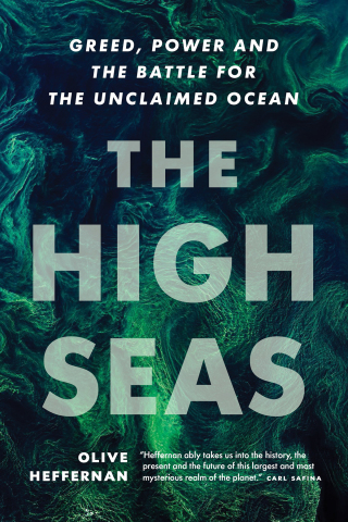 Cover image: The High Seas 9781771645881