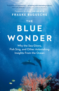 Cover image: The Blue Wonder 9781771646048