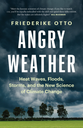 Imagen de portada: Angry Weather 9781771646147