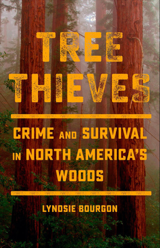 Cover image: Tree Thieves 9781771647205