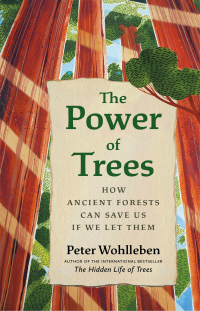 Cover image: The Power of Trees 9781771647748