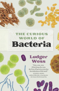 Titelbild: The Curious World of Bacteria 9781771648257