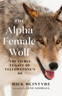Omslagafbeelding: The Alpha Female Wolf 9781771648585