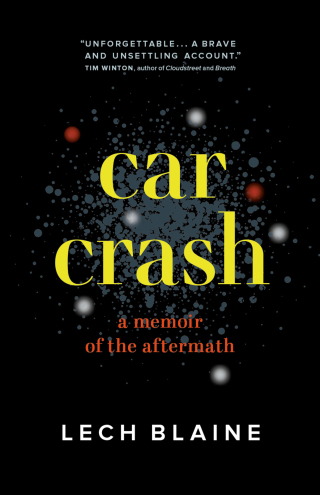 Imagen de portada: Car Crash 9781771648646