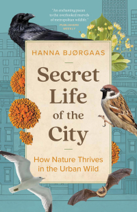 Cover image: Secret Life of the City 9781771649353