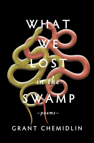 Imagen de portada: What We Lost in the Swamp 9781771682893