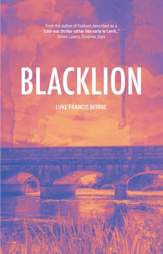 Cover image: Blacklion 9781771863315