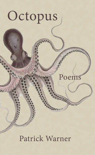 Imagen de portada: Octopus 9781771961318