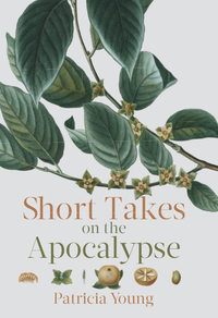 Cover image: Short Takes on the Apocalypse 9781771961356