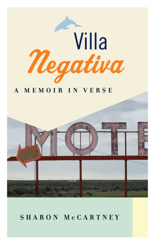 Omslagafbeelding: Villa Negativa 9781771963497