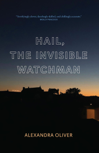 Cover image: Hail, The Invisible Watchman 9781771964715