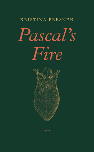 Cover image: Pascal's Fire 9781771965439