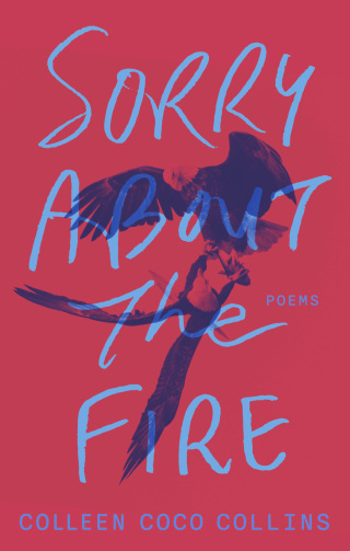 Imagen de portada: Sorry About the Fire 9781771966139
