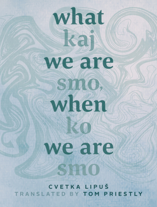 Cover image: What We Are When We Are 9781771992497