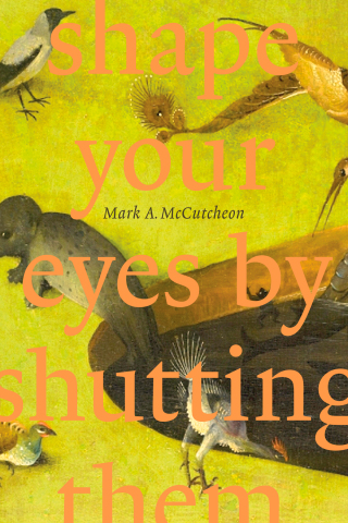 Cover image: Shape Your Eyes by Shutting Them 9781771992695