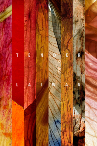 Cover image: TENDER 1st edition 9781772012514