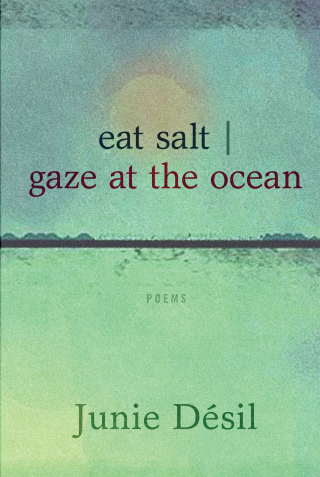 Cover image: eat salt | gaze at the ocean 9781772012651