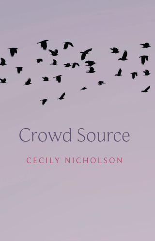 Imagen de portada: Crowd Source 9781772016581
