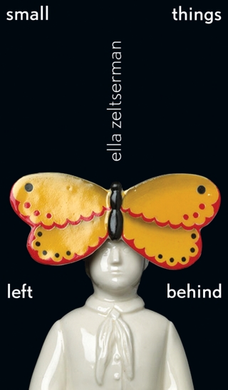 Imagen de portada: small things left behind 9781772120028