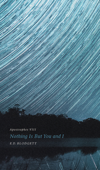 Cover image: Apostrophes VIII 9781772124514