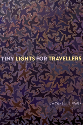Imagen de portada: Tiny Lights for Travellers 9781772124484