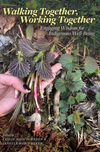 Cover image: Walking Together, Working Together 9781772125375