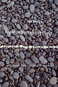 صورة الغلاف: Numinous Seditions 9781772127102
