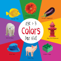 Cover image: Colors for Kids age 1-3 (Engage Early Readers: Children's Learning Books) 9781772260618