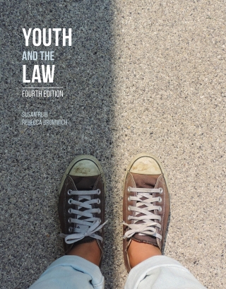 Cover image: Youth and the Law 4th edition 9781772554540