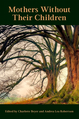 Imagen de portada: Mothers Without Their Children 9781772581737