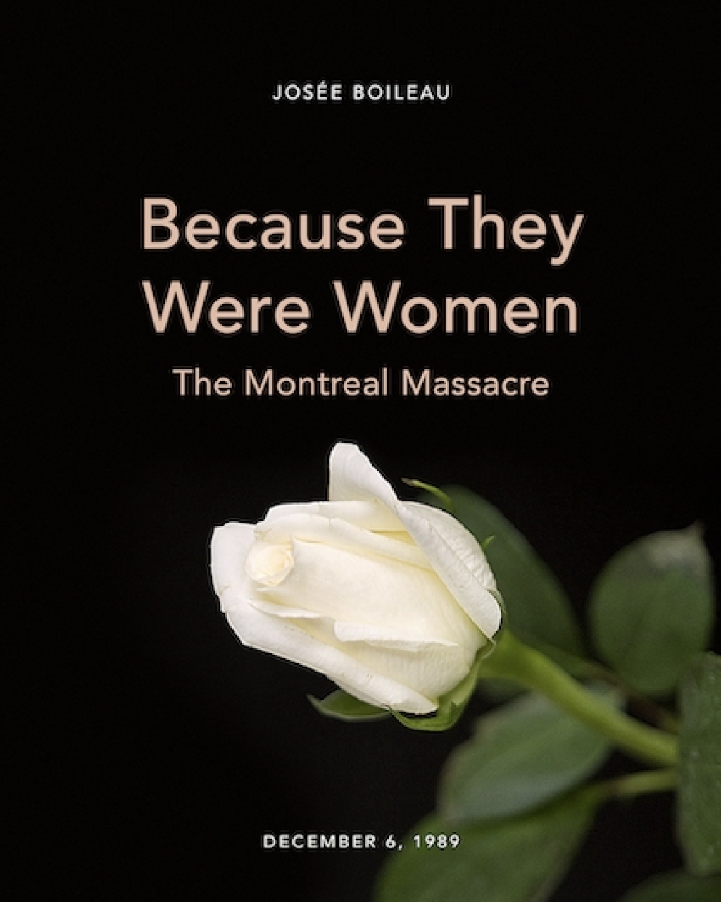 Because They Were Women The Montreal Massacre