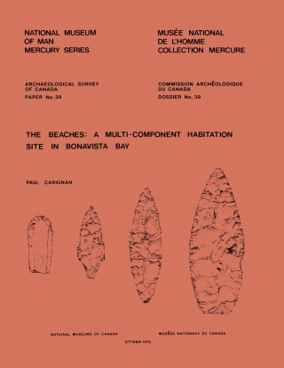 Imagen de portada: Beaches 9781772820393