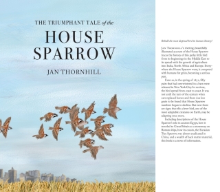 Cover image: The Triumphant Tale of the House Sparrow 9781773060064