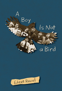 Cover image: A Boy Is Not a Bird 9781773061740