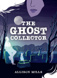 Imagen de portada: The Ghost Collector 9781773212968