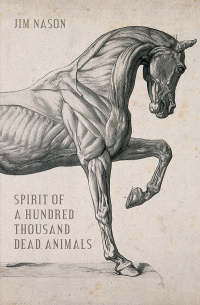 Imagen de portada: Spirit of a Hundred Thousand Dead Animals 9781773240213