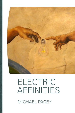 Imagen de portada: Electric Affinities 9781927426661