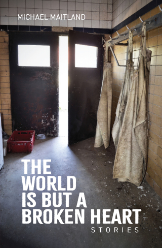 Imagen de portada: The World Is But a Broken Heart 9781773241296