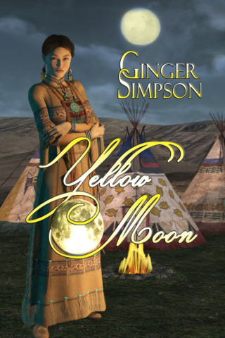 Imagen de portada: Yellow Moon 9781773626314