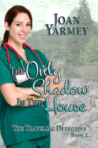 Cover image: The Only Shadow in the House 9781773626727