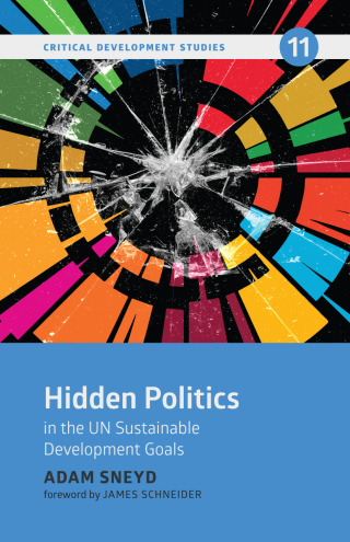 Cover image: Hidden Politics in the UN Sustainable Development Goals 9781773636900
