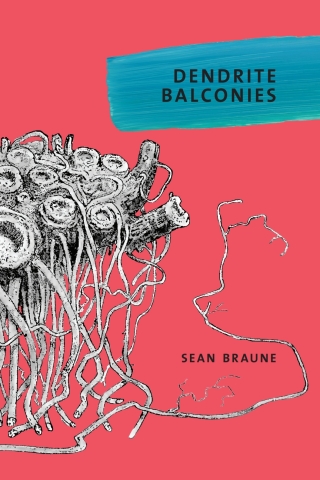 Imagen de portada: Dendrite Balconies 1st edition 9781773850955