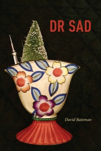 Cover image: DR SAD 1st edition 9781773851037