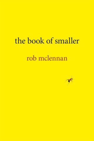 Cover image: the book of smaller 9781773852614