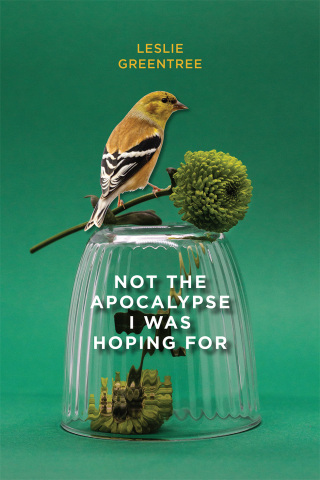 Cover image: Not the Apocalypse I Was Hoping For 9781773853697