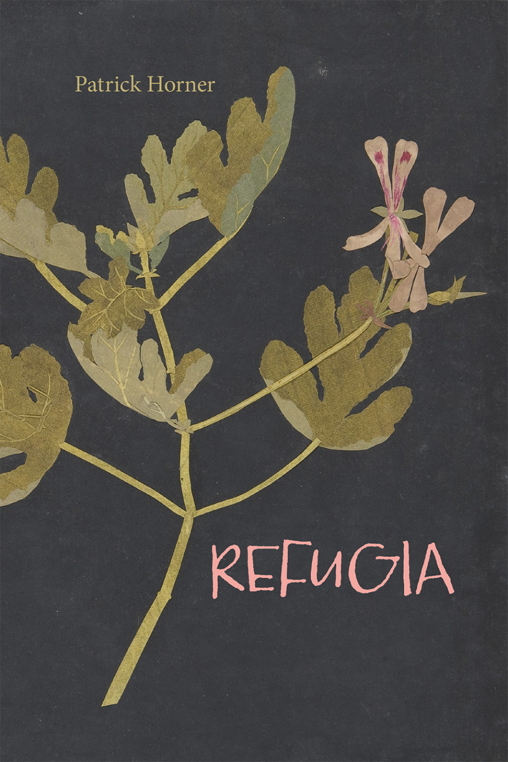Refugia (eBook)